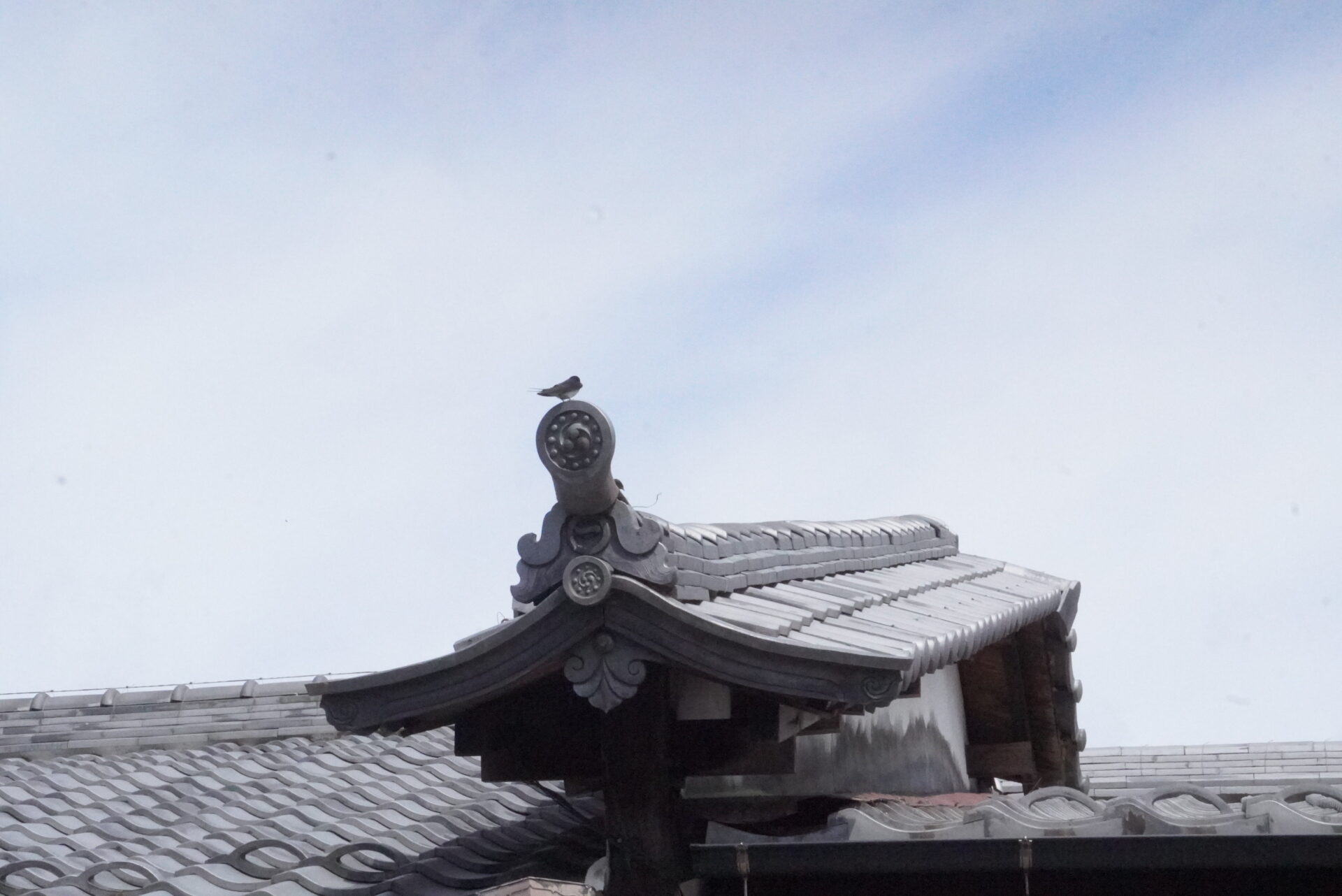 うだつの上がる町並み