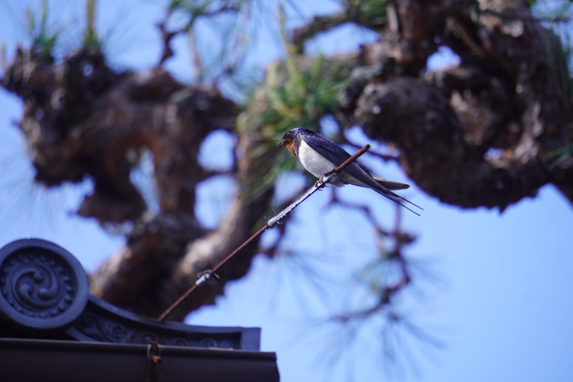 うだつの上がる町並み